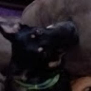 Meet your Posher, Kelsey